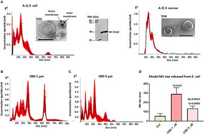 Cannabidiol Is a Novel Modulator of Bacterial Membrane Vesicles